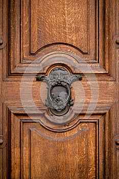 lion headed door knocker on wooden door