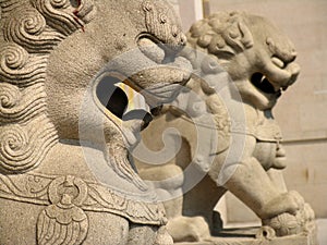 Lion at Jing an Temple