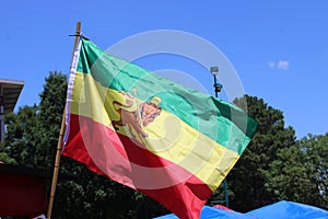 Lion of Judah Flag flying in air