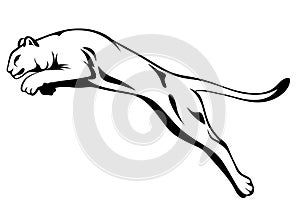 Lion jumping vector