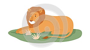 Lion, king animal relaxing on grass. Wild feline with mane lying. Jungle habitant. African tropical carnivore. Flat