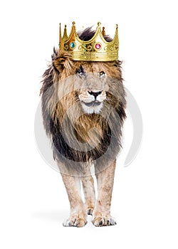 Lion With King of Jungle Crown