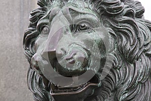 Lion on King Karl XIII Statue by Fogelberg, Kingâ€™s Garden - Kungstradgarden, Stockholm
