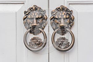 Lion knocker on white door