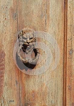 Lion knocker on wooden door