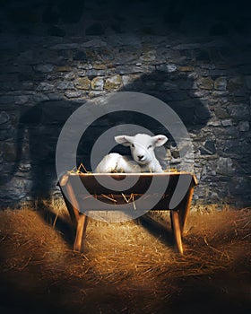 Lion and Lamb nativity photo