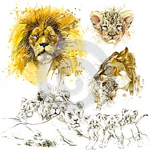 Lion. Lion pride illustration watercolor