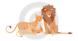 Lion, lioness and baby cub. Wild feline animals family. Leo father, mother and child lionet together, portrait. African