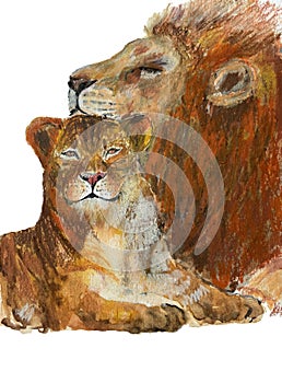 The lion and the lioness are drawn with pastels, watercolors and pencils.