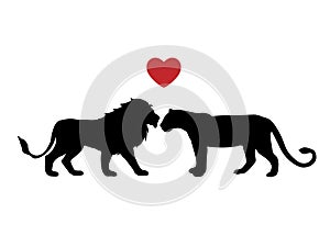 Lion and lioness love predator black silhouette animal