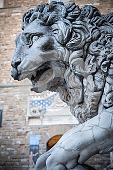 Lion at Loggia dei Lanzi, Piazza della Signoria, Florence, Italy