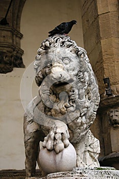 Lion of the Loggia of Lanzi photo