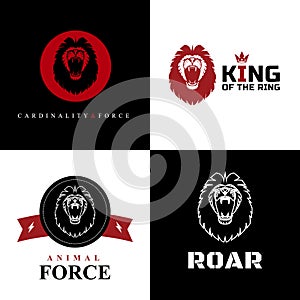 Lion Logo Graphic Designs