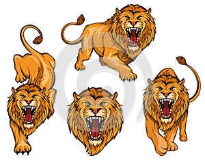 Lion logo set. Angry, roar lion. Predator animal.
