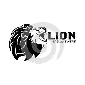 Lion logo vector design template