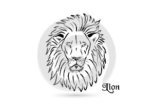 Lion logo vector icon design