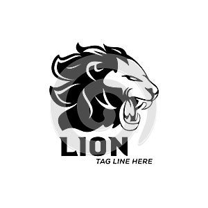 Lion logo vector template design