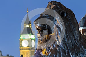 Lion in London's Trafalgar Square with Big Ben in the background