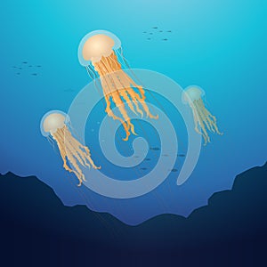 Lion mane jellyfish