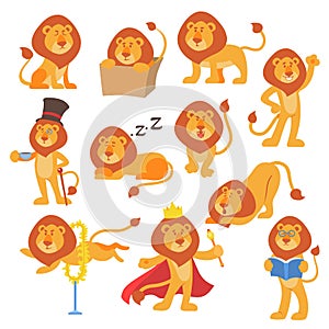 Lion mascot vector pose happy cartoon cute wild character safari mammal cat jungle animal illustration.