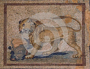 Lion mosaic