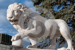 Lion near the Vorontsov palace in Odesa, Ukraine