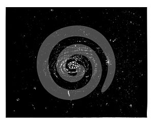 Lion Nebula, showing nebulous rings. Image of training worlds, vintage engraving