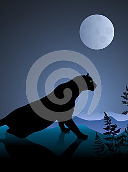 Lion on Night Background with Moon