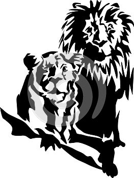 Lion pair