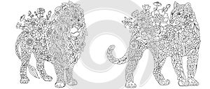 Lion and panther coloring pages