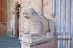 The lion at Parma Cathedral