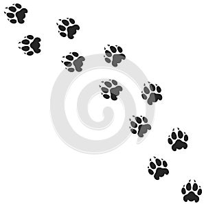 Lion paw print. Silhouette. Isolated paw prints on white background