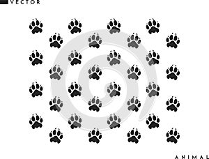 Lion paw prints background. Isolated paw prints