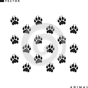 Lion paw prints. Isolated paw prints on white background
