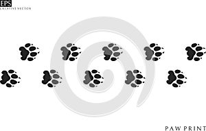 Lion paw prints. Silhouette. Isolated paw prints on white background
