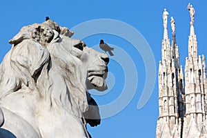 The lion in Piazza del Duomo, Milan, Italy