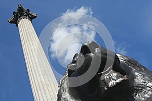 Lion from piccadily photo