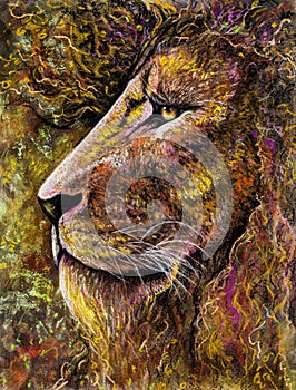 Lion portrait in charcoal and pastel