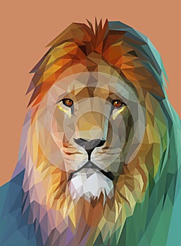 Lion portrait. Low poly design. Vector eps10