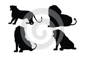 Lion roaring silhouette vector on a white background. Wild lion silhouette set vector. Male lion silhouette bundle design.