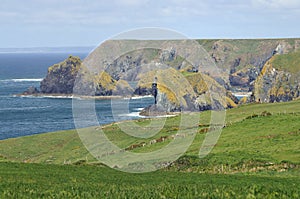 Lion Rock & Gull Rock (Kynance Cove) photo