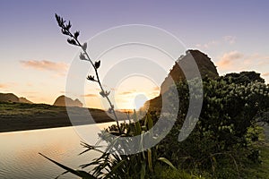 Lion Rock, Piha