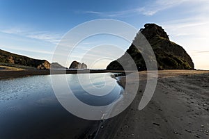 Lion Rock, Piha Beach