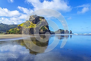 Lion Rock at Piha Beach Auckland New Zealand