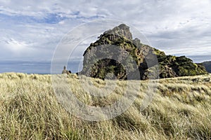 Lion Rock, Piha, NZ