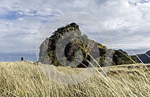 Lion Rock, Piha, NZ