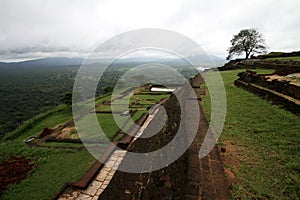 Lion rock in Sri Lanka