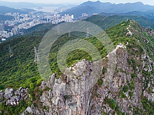 Lion Rock Top Shoot