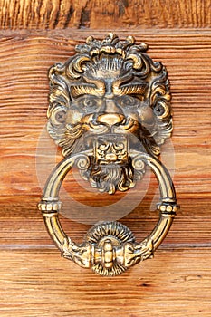 The lion`s head as a doorknocker