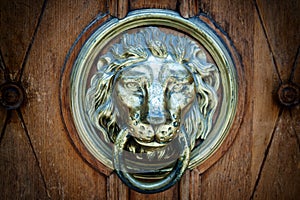 The lion`s head as a doorknocker